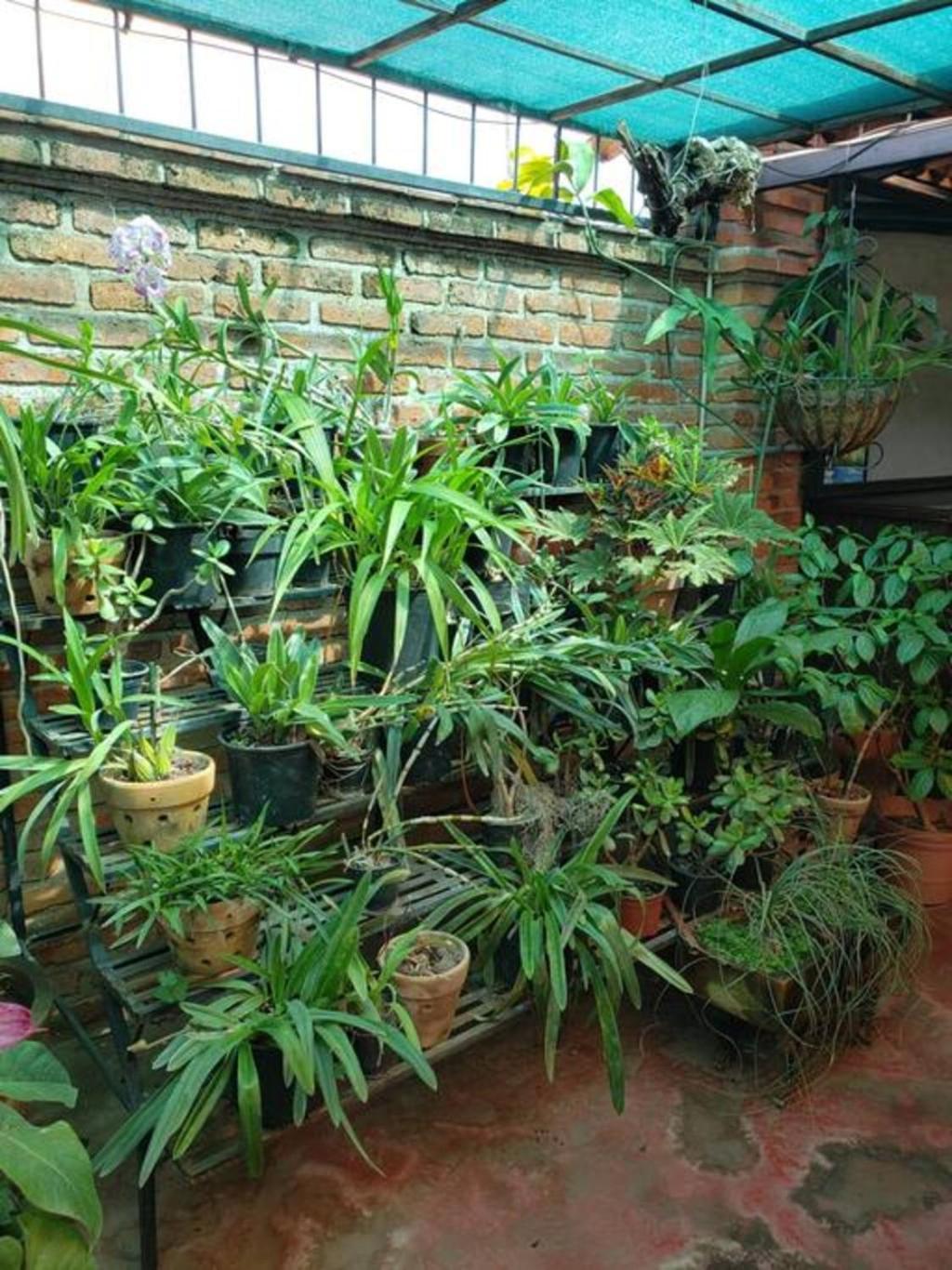Enjoy Ac In The Queen'S Suite At Inn Ajijic Esterno foto