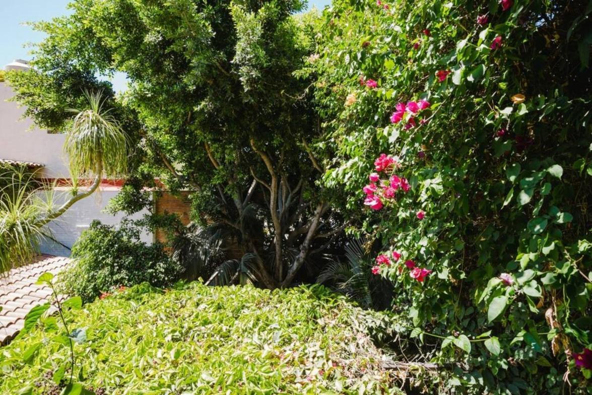 Enjoy Ac In The Queen'S Suite At Inn Ajijic Esterno foto